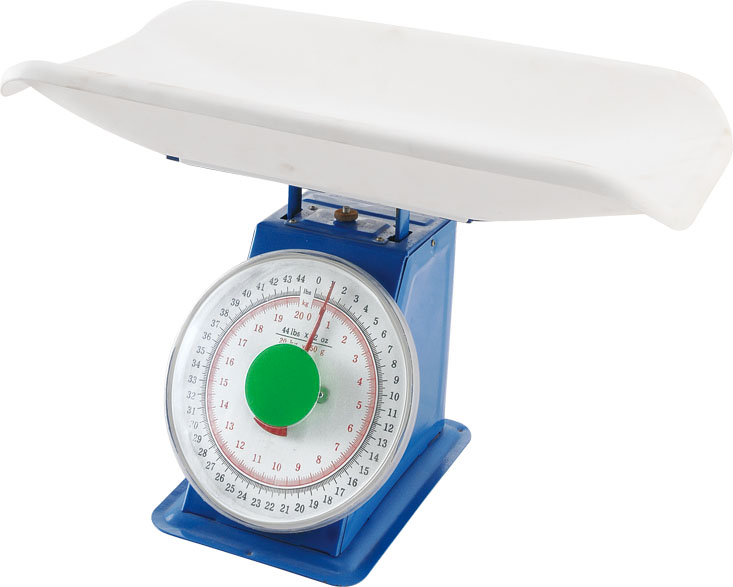 ZZDP-301